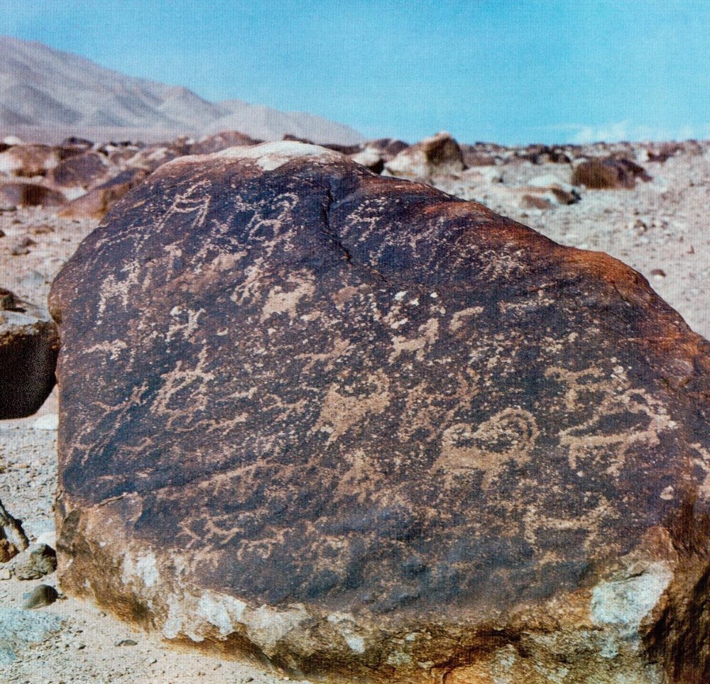 Ладакх. Древние петроглифы у Кхарбу. Фото Л.В. Шапошниковой. 1970-е гг